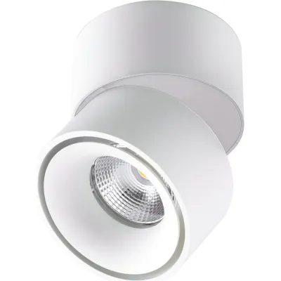 EVN LED Deckenstrahler AS20090125 | Anbauleuchte dreh- & schwenkbar | 9W | 3000-4000K | 750lm | Ø80mm | IP20
