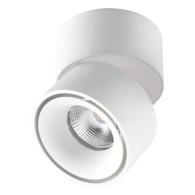 EVN LED Deckenstrahler AS20090125 | Anbauleuchte dreh- & schwenkbar | 9W | 3000-4000K | 750lm | Ø80mm | IP20