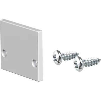 EVN Endabschlusplatte APFEAP für Alu-Profile APF100/APF200 | eloxiert | inkl. Schrauben | IP20 | Aluminium