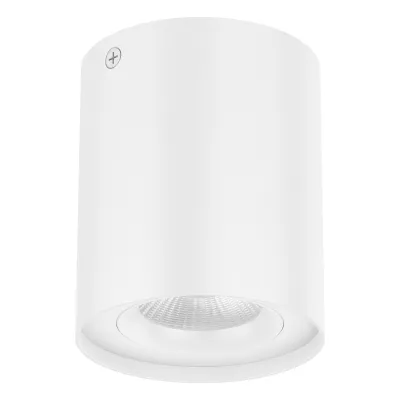 EVN LED-Deckenanbauleuchte ALS20100102 | 10W | 900lm | 3000K warmweiß | kardanisch schwenkbar | dimmbar | Aluminium weiß