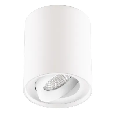 EVN LED-Deckenanbauleuchte ALS20100102 | 10W | 900lm | 3000K warmweiß | kardanisch schwenkbar | dimmbar | Aluminium weiß