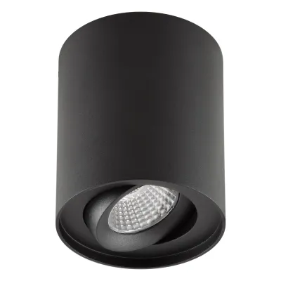 EVN LED-Deckenanbauleuchte ALS20100902 | 10W 900lm 3000K | schwenkbar | dimmbar | rund | Aluminium | schwarz