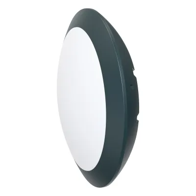 EVN LED Anbauleuchte WR30181525 | IP66 IK10 | 9,5-18,5W 1050-2000lm | 3000-4000K schaltbar | Ø300mm | anthrazit