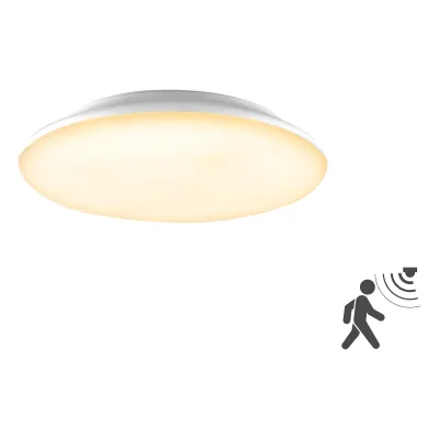 EVN LED-Anbauleuchte m. Bewegungsmelder L30180125BM