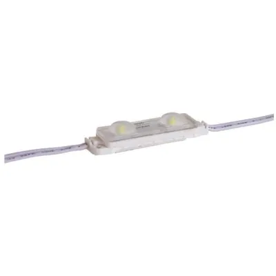 EVN LED-Modul 6500K 10erKette 2LED LCL20110