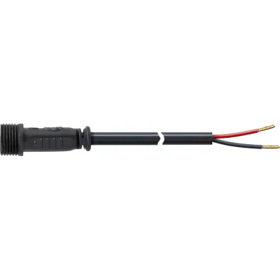 EVN Lichttechnik Anschlussleitung 065 25 02-2 | 2-polig | IP65 Stecker | 2,5m | 12V/24V | Außenbereich