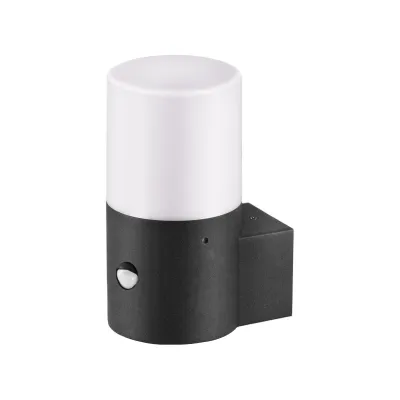 EVN Wandleuchte WRM172715S | LED-Außenleuchte mit Bewegungsmelder & Dämmerungssensor | E27 | Aluminium anthrazit | IP44