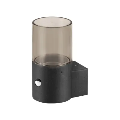 EVN Wandleuchte WRS172715S | LED Außenleuchte mit Bewegungsmelder & Dämmerungssensor | IP44 | E27 | Aluminium anthrazit