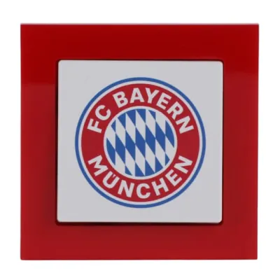 Busch-Jaeger Wechselschalter | FC Bayern Fanschalter | Unterputz Komplettset | Kunststoff | IP20 | 10A