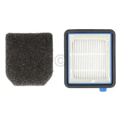 Filterset für Staubbehälter wie Electrolux ESKW1 9009232696 in PureQ9 WellQ6-Q8