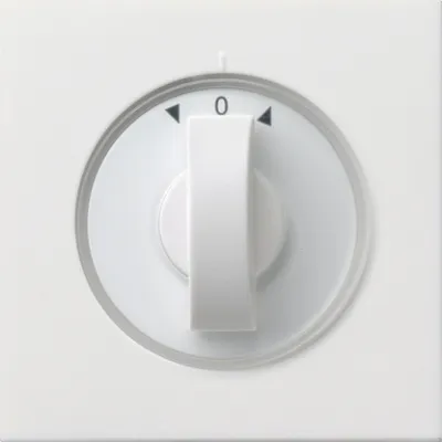 GIRA Abdeckung Knebel 0666112 | für Jalousieschalter | Symbol Pfeile | reinweiß glänzend | IP20 | Kunststoff