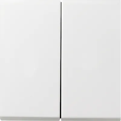 GIRA Serienwippe 2-fach 0295112 | Flächenschalter | Wippe für Schalter | Kunststoff | glänzend | reinweiß RAL 9010
