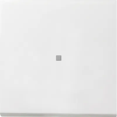 GIRA Wippe Kontrollfenster 0290112 | Flächenschalter | einteilig | IP20 | Kunststoff | glänzend | reinweiß RAL 9010