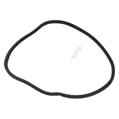 Flusenfilter-Außendichtung für Geschirrspüler (1524299003)