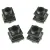 Bild: Fuss 00418027
