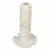 Bild: Fuss 00614938