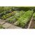 Bild: Gardena 13015-20 Micro-Drip Startset für Pflanzflächen