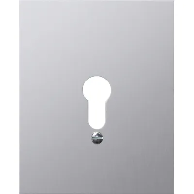 Gira Metall-Abdeckung 009830 | Abdeckung für Schlüsselschalter | Aufputz | 125x100 mm | IP44 | Aluminium matt | grau