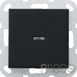 GIRA 0136005 0136005 Tast-Kontroll AusWe System 55