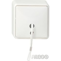 Gira 014613 ZUGSCHALTER AUFPUTZ
