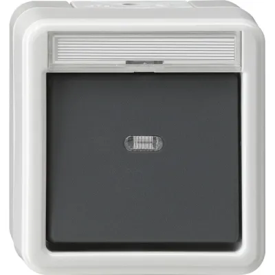 GIRA Wipptaster 015230 | Aufputz | Schließer mit Meldekontakt | IP44 | 10A 250V | Symbole Licht/Klingel/Tür | grau