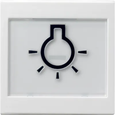 Gira Wippe Schalter 021603 System 55 | abtastbares Lichtsymbol | großes Beschriftungsfeld | barrierefrei | weiß