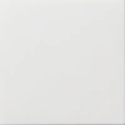 GIRA Blindabdeckung mit Tragring 0268112 | Flächenschalter | Unterputz | glänzend | halogenfrei | IP21 | reinweiß