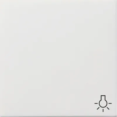 Gira 0285112 Wippe Licht reinweiß gl.