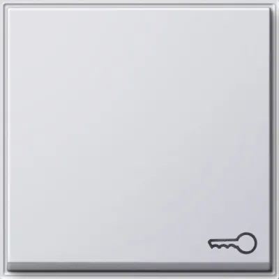GIRA Wippe 028766 | Schalter/Taster Symbol Schlüssel/Tür | TX_44 | Klemmbefestigung | IP44 | Kunststoff | reinweiß