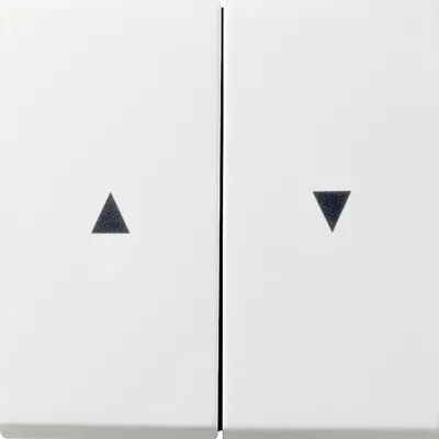 GIRA Wippe Jalousieschalter 0294112 | 2-fach Pfeilsymbol | Flächenschalter | Kunststoff glänzend | reinweiß RAL 9010