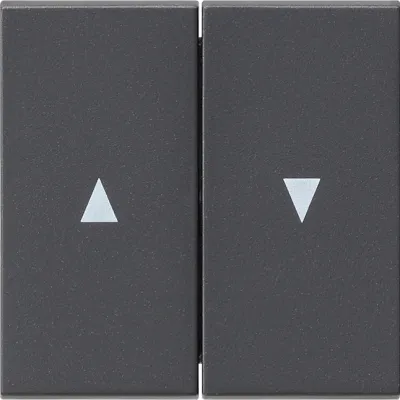 GIRA Wippen Jalousie 2-fach 029428 | System 55 | Pfeilsymbol | Kunststoff | Klemmbefestigung | anthrazit