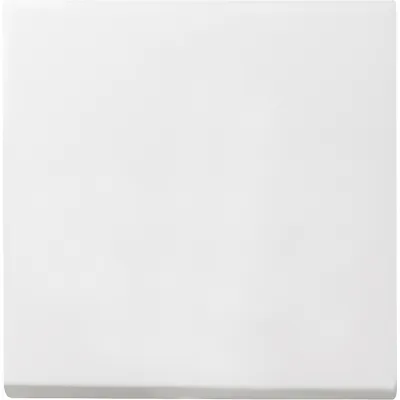 Gira Wippe Wechsel 029627 System 55 | Wechselschalter Wippe | 1-fach | Kunststoff | matt | reinweiß RAL 9010