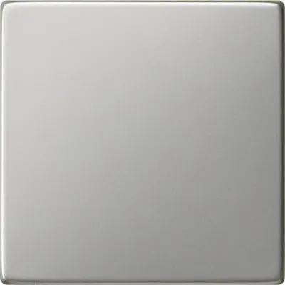 Gira 0296600 Wippe System 55 Edelstahl