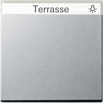 Gira Wippe für Schalter/Taster 029926 | System 55 | Beschriftungsfeld | einteilig | Kunststoff | Alu