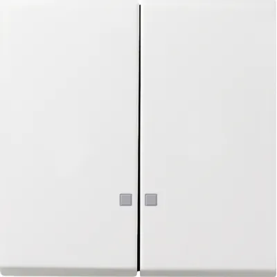 GIRA Serienwippe 2-fach 0631112 | Kontrollfenster | Flächenschalter | Klemmbefestigung | Kunststoff | IP20