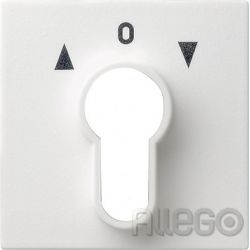 Gira 066403 Zentralplatte für Schlüsselschalter