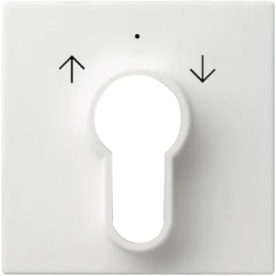 Gira Abdeckung für Schlüsselschalter 066403 | System 55 | Jalousie Symbol Pfeile | glänzend | reinweiß RAL 9010