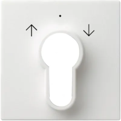 Gira Abdeckung Schlüsselschalter 066427 | System 55 | Jalousie | Symbol Pfeile | matt | IP20 | reinweiß