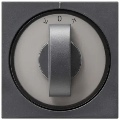 GIRA Abdeckung mit Knebel 066628 | System 55 | Jalousie Zeitschalter | anthrazit | IP20 | halogenfrei