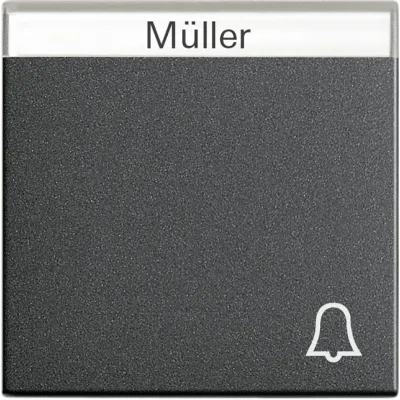 GIRA Wippe für Taster 067328 | Klingel Symbol | Beschriftungsfeld | System 55 | Kunststoff | anthrazit