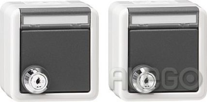 Gira 078730 SCHUKO-STECKDOSE SET WG AP