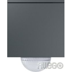 GIRA 244210 Wächter 120 Wächter Anthrazit