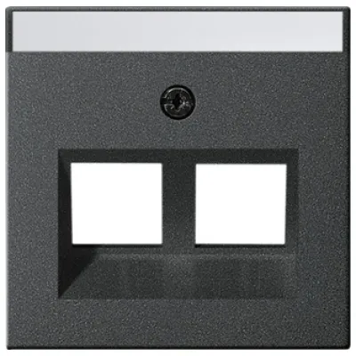 GIRA Abdeckung Modular Jack 2fach 264028 | Zentralplatte System 55 | 30° Schragauslass | Beschriftungsfeld | anthrazit