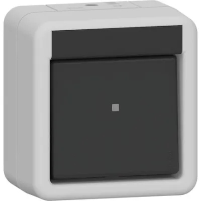 GIRA Wippschalter 310230 | 2-polig | Aufputz | IP44 | Kontroll-/Orientierungsbeleuchtung | Thermoplast | grau