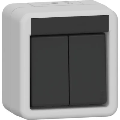 GIRA Serienschalter Wippschalter 310530 | 2-fach | Aufputz | IP44 | 10AX 250V | Thermoplast | grau