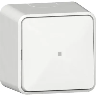 GIRA Wipptaster Wechsler 315613 | 1-polig | Aufputz | Kontrollfenster | 10A 250V | Steckklemme | weiß RAL 9010