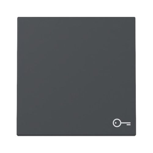 Bild: GIRA 328728 Wippe Symb. Tür System 55 Anthrazit