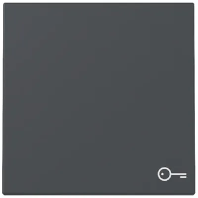 GIRA Wippe Schalter 328728 | Symbol Tür/Schlüssel | System 55 | Kontrollwippe | Kunststoff Thermoplast | anthrazit