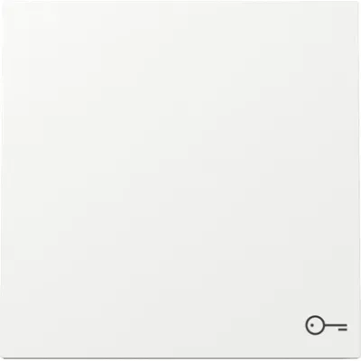 GIRA Wippe Schalter 328770 | Symbol Tür | Kontrollfenster | 1-fach | glänzend | Thermoplast | IP20 | weiß RAL 9010