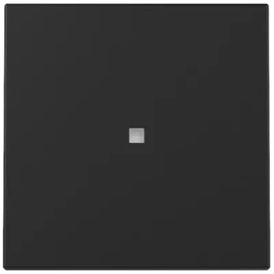 GIRA Kontrollwippe 3290005 | Schalterwippe System 55 | Kontrollfenster | Kunststoff matt lackiert | schwarz